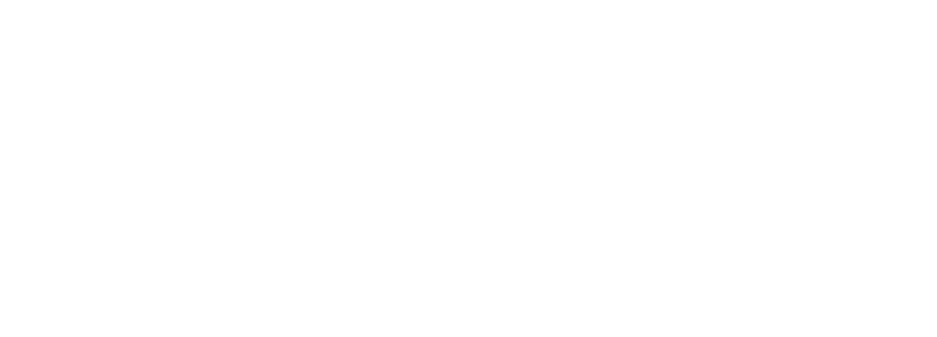 Record White logo